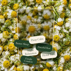 Chamomile Loose Leaf Brew | 50gm